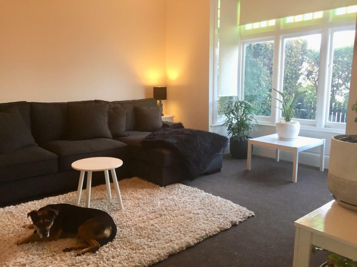 Eliza'S Lovely Home 朗塞斯顿 外观 照片